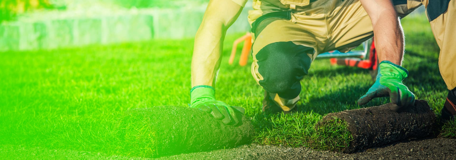An expert landscaper lays down sod with a green overlay